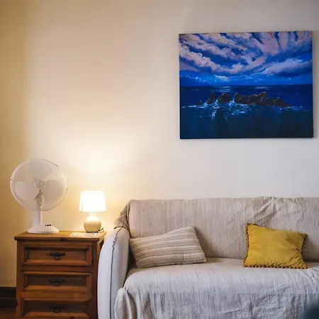 The Nest Apartment Bicas